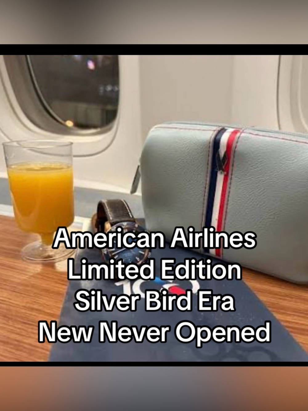American Airlines Limited Edition Silverbird Era Amenity Kit Travel Toilet Bag